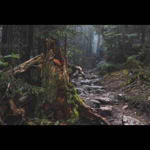 Meet your Posher, Brad